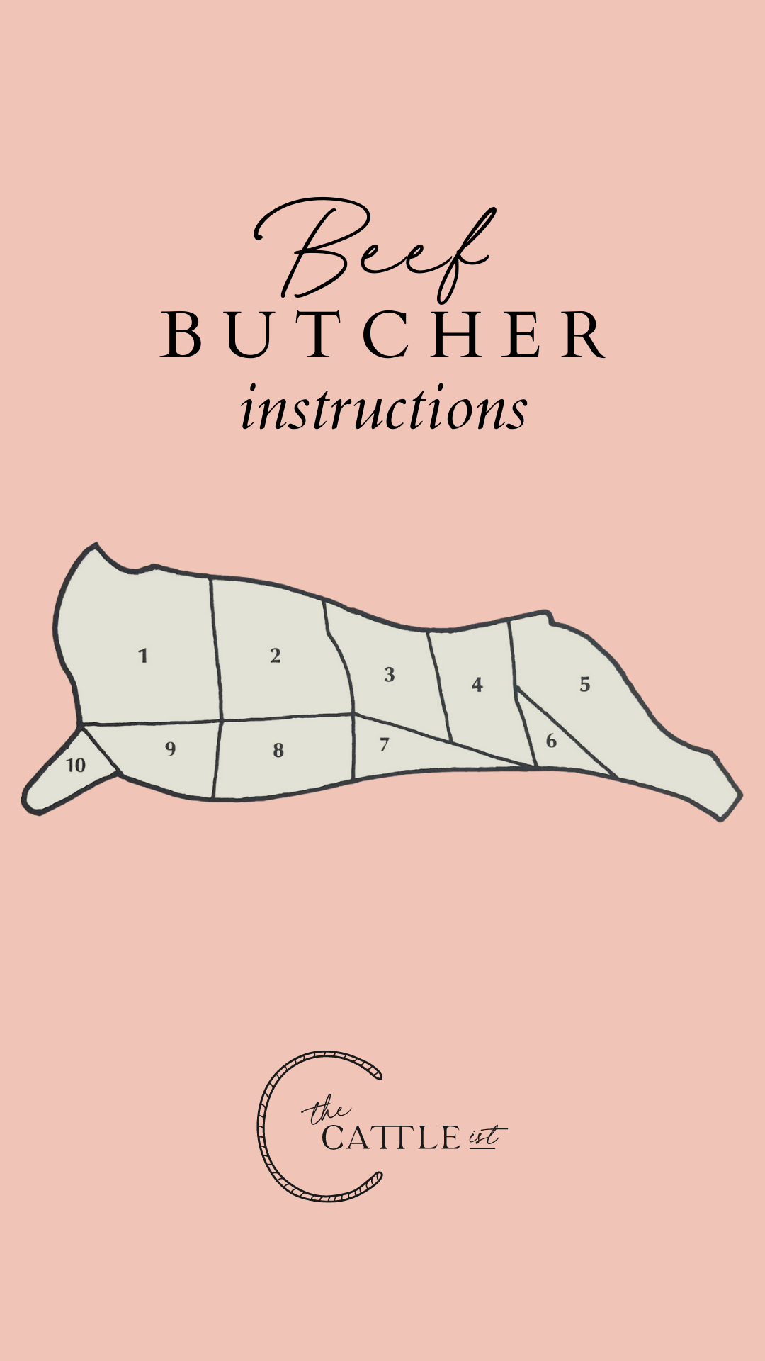 Beef Butcher Instructions Cover Image showing a beef cut chart