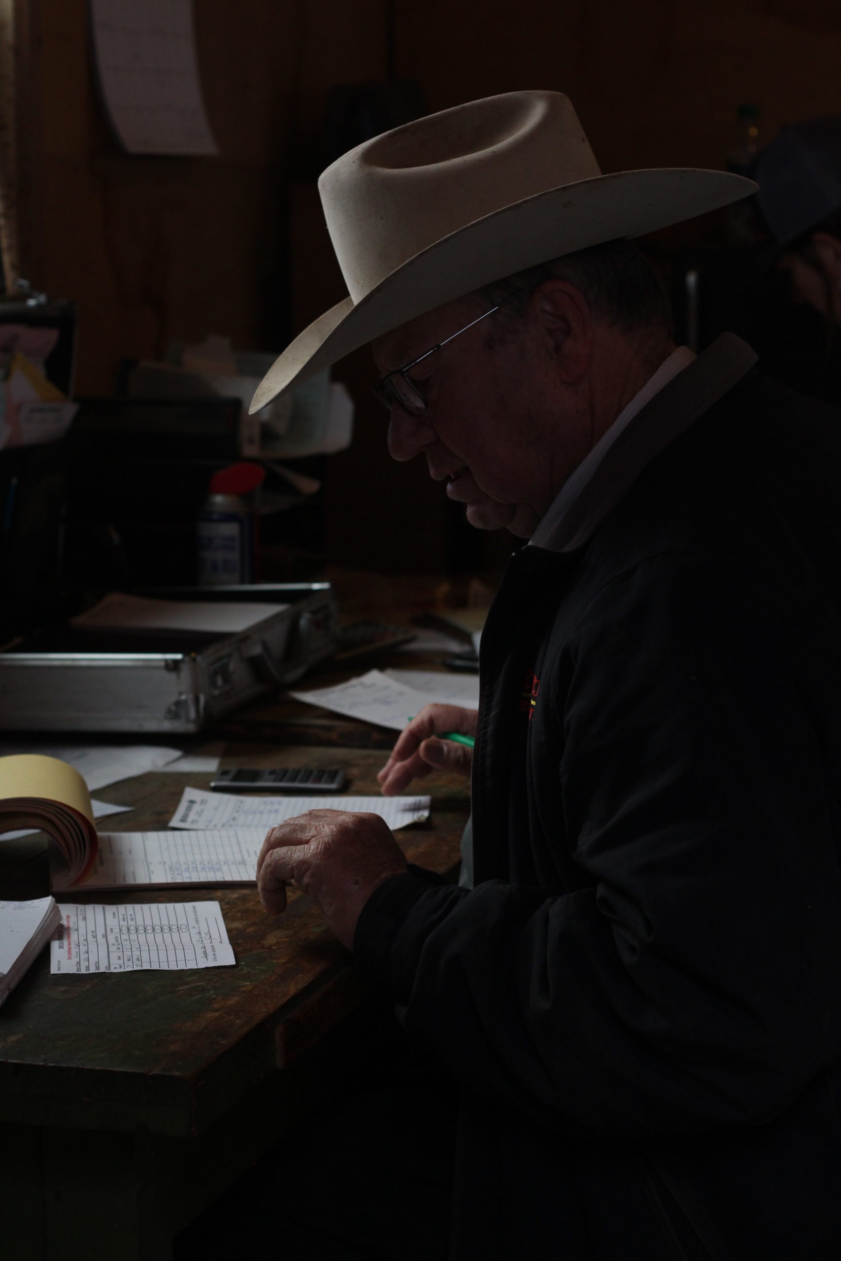 Cattle buyer, Ron Anderson adding up weights and calculating the money he will pay for the calves brought in.