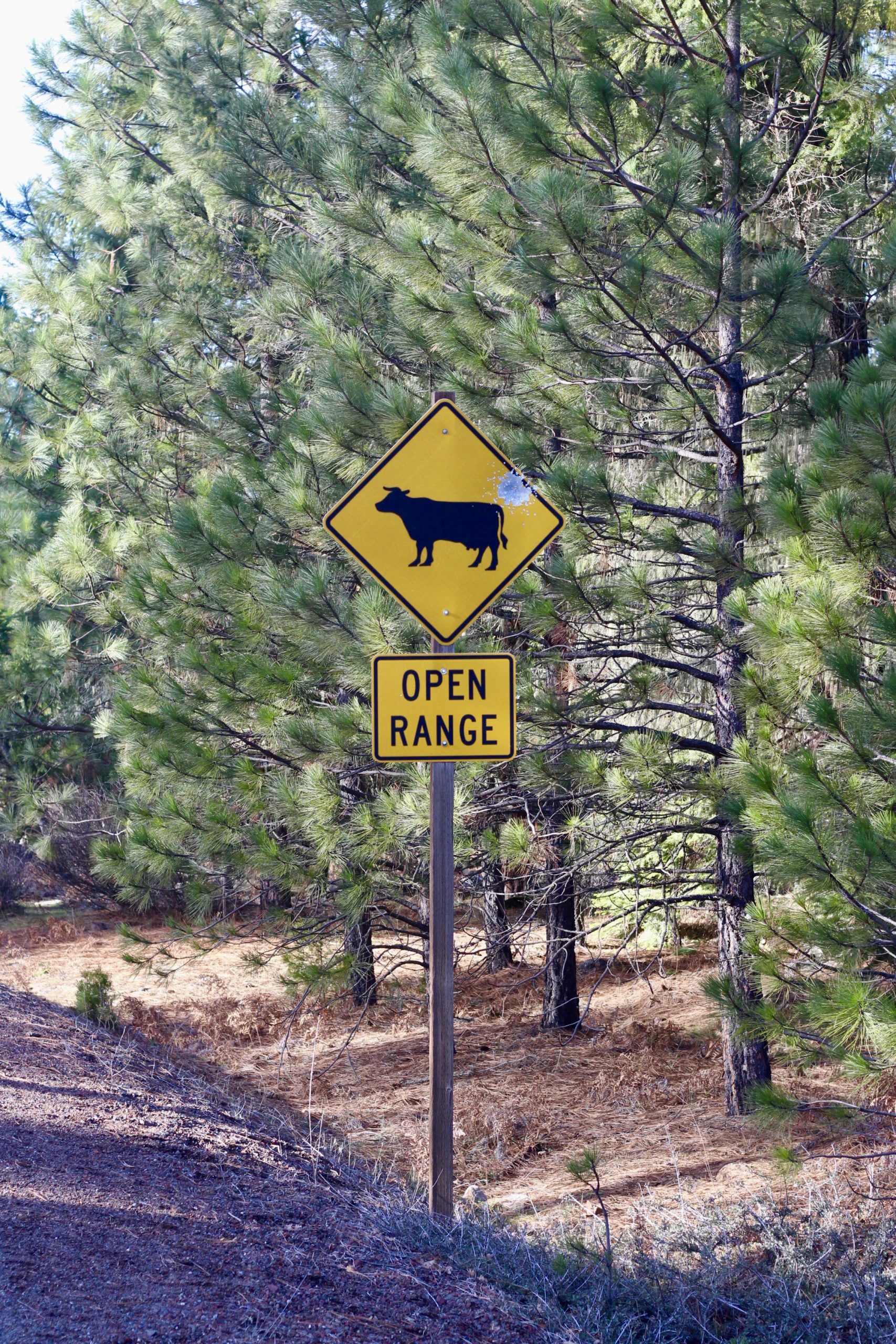 An Open Range Sign